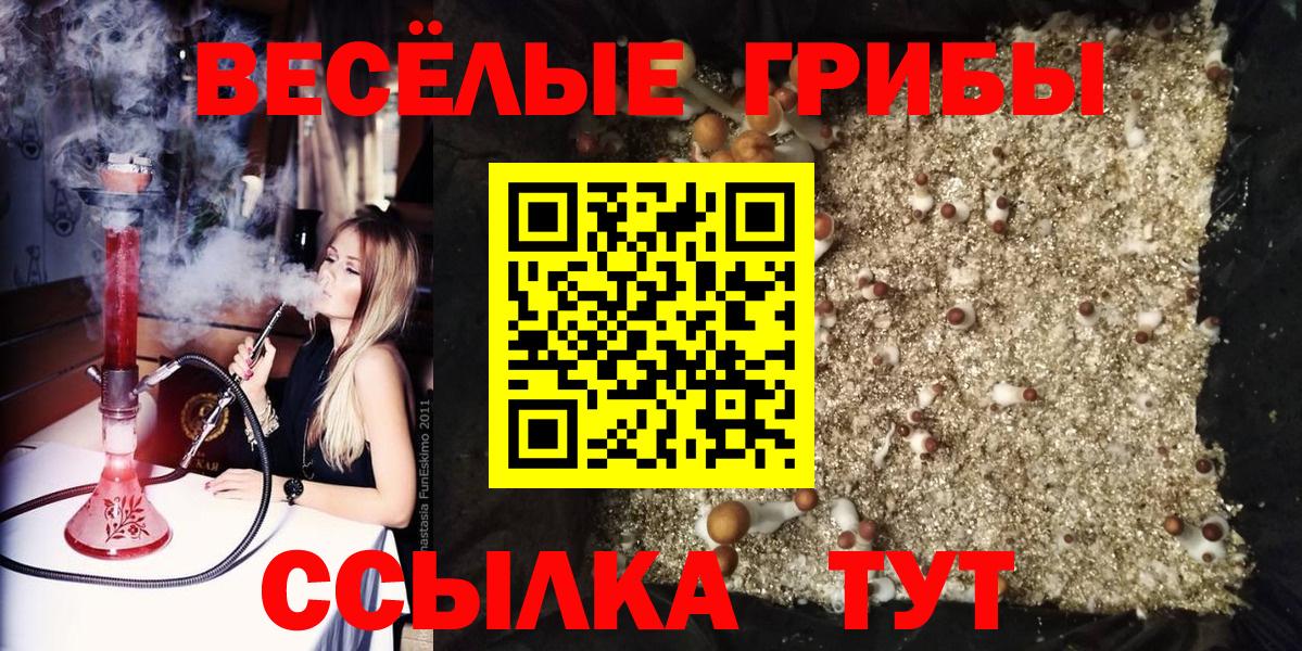 Галлюциногенные грибы MAGIC MUSHROOMS Новоалтайск
