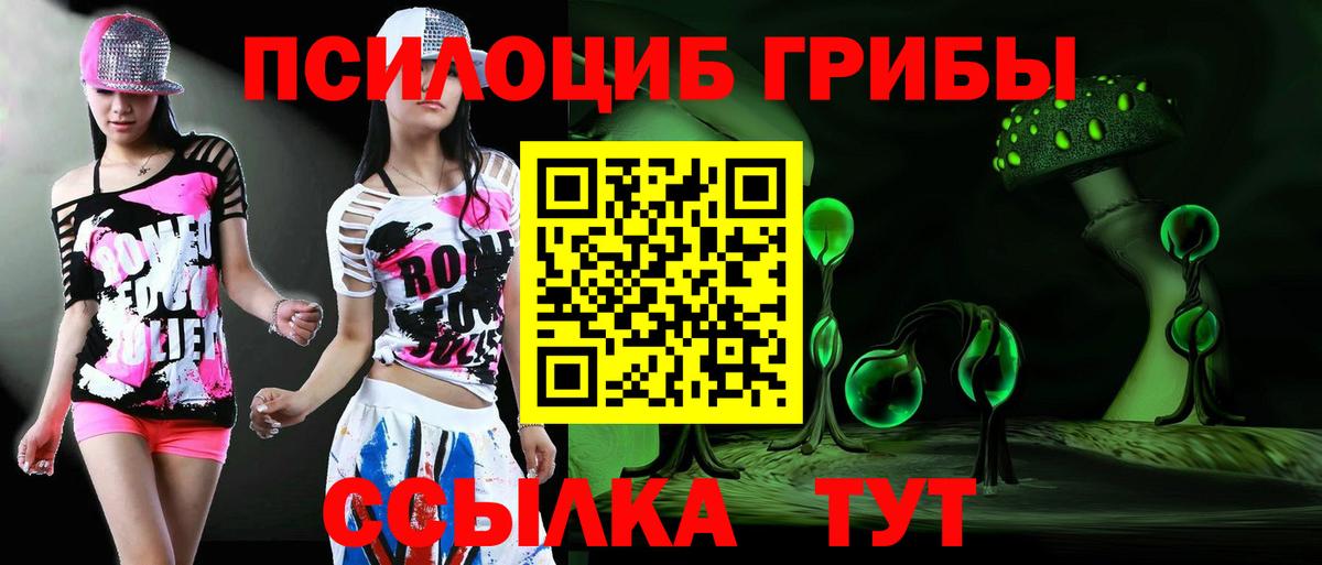 Псилоцибиновые грибы ЛСД  Галлюциногенные грибы Psilocybe  Новоалтайск  Вход с VPN 